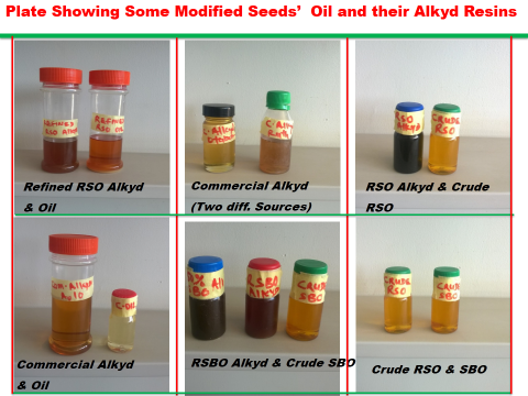 RUBBER SEED OIL